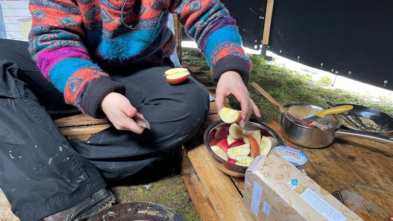 Leiterarbeite - Obst schnippeln