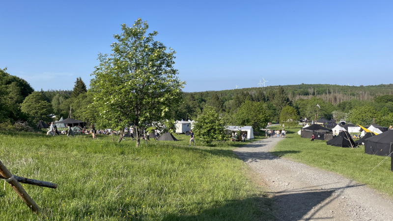 Impressionen vom Kirschbaum