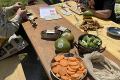 Obst & Gemüse