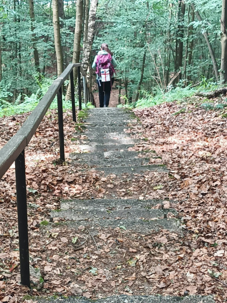 Treppen - schon wieder