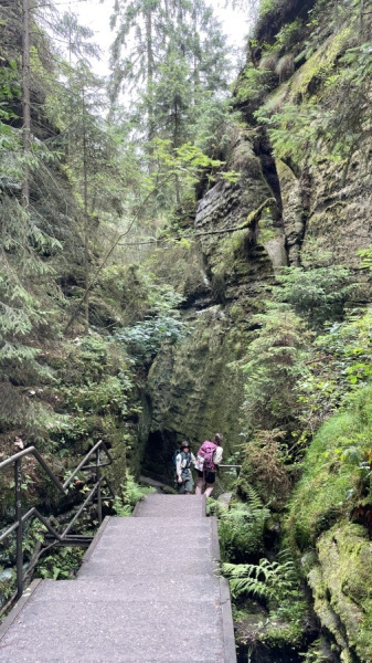 Hohe Felsen