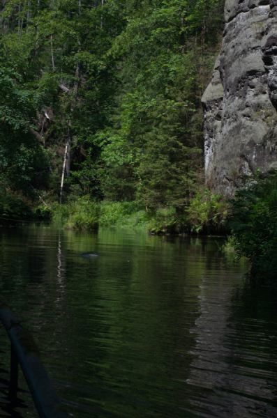 Auf dem Wasser