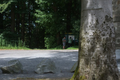Weg finden