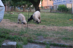 Unsere Nachbarn