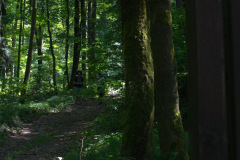 Warten
