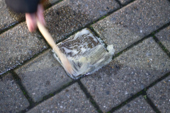 Stolpersteine_2