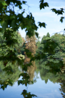 Rombergpark - ein Blick über den See