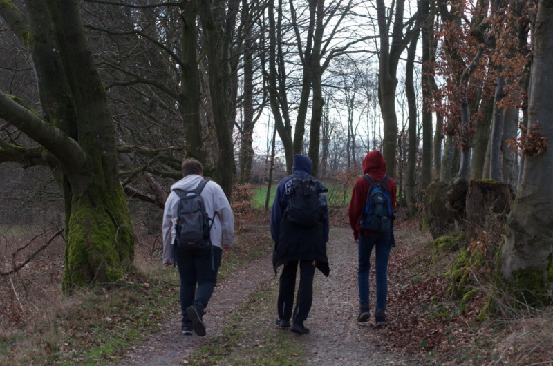 Eifel_22