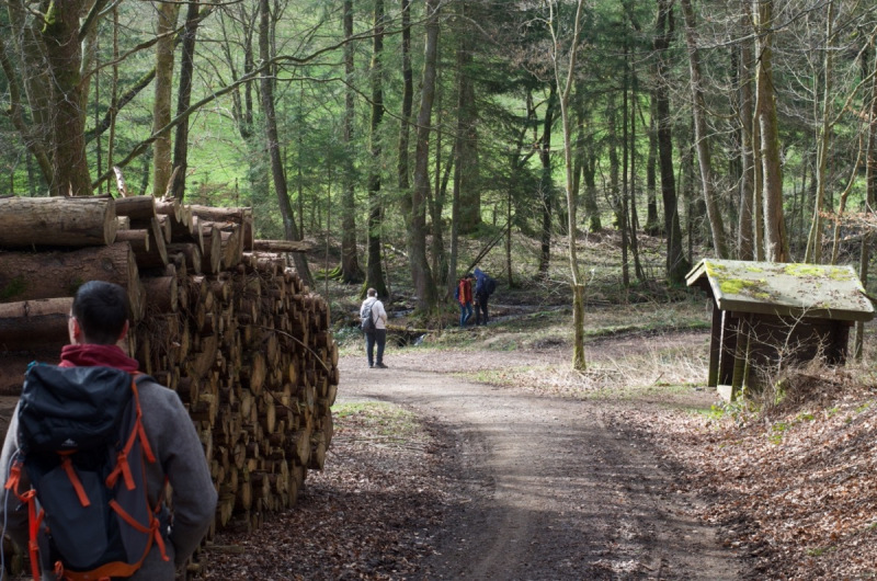 Eifel_29