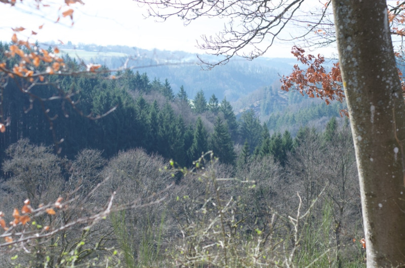 Eifel_41