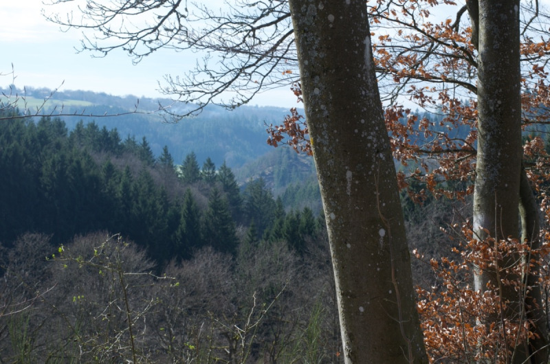 Eifel_42