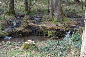 Eifel_30