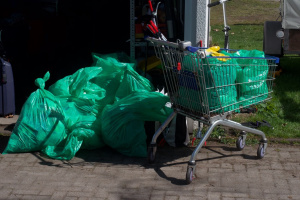 Cleanup_-31